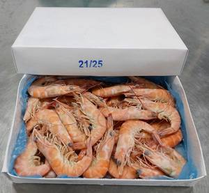 Camarón Vannamei de Vietnam, tamaño 21/25, entero, congelado, con cabeza, 23 + bolsa de color, embalaje, procesado sin cabeza - Product Image 2
