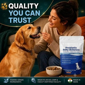 Proveedores de Suplementos Alimenticios Probióticos OEM ODM, Golosinas y Bocadillos para Perros y Gatos para el Cuidado de la Salud Intestinal - Product Image 4