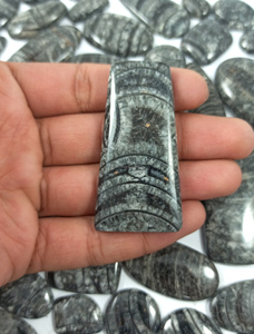 Wholesale Natural Polished High Quality Natural Orthoceras Fossil Crystal Black Loose Smooth Black Oval Shape Cabochons - Product Image 4