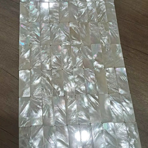 Piezas de Nácar Natural para Mosaico e Incrustaciones, Suministros para Manualidades - Product Image 1