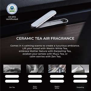 SCENTAG Tesla Car Air Freshener - Tesla Air Freshener Car Fragrance Deodorizer With Ceramic Diffuser Stone for all Tesla Model |