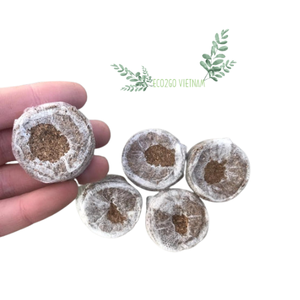 Pastilles de coco durables pour la germination - Disques de démarrage en tourbe de coco de haute qualité, disponibles en vrac chez Eco2go Vietnam - Product Image 4