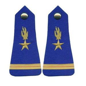 Épaulettes de luxe brodées avec logo personnalisé, badge en tissu de haute qualité, accessoire personnalisé avec épingle de sûreté - Disponible à la vente - Product Image 4