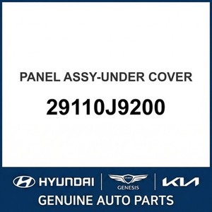 แผงข้างตัวถังและแผงควอเตอร์ Kona รุ่นใหม่ 29110J9200 - Product Image 1