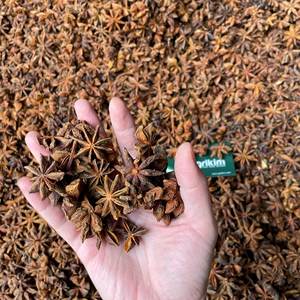 Anís estrellado vietnamita premium de gran tamaño y alto contenido de aceite - Product Image 4