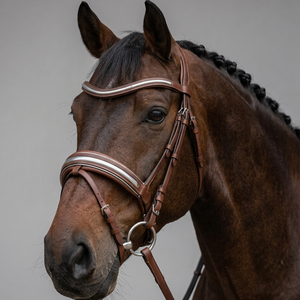Brida de Doma para Caballo de Cuero de Grano Completo Color Castaño Premium con Corona Acolchada Anatómica, Acolchado Suave y Frontal con Incrustaciones Plateadas - Product Image 5