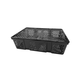 Ventilated PP <b>Plastic</b> Longan Harvest <b>Crate</b> Stackable Agricultural Fruit Storage Basket - Product Image 2