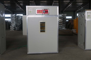 350 Trứng Nhỏ Tự Động Lồng Ấp Trứng Cho Gà Máy Nở - Product Image 5