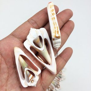 Coquillages en gros à prix compétitifs pour décorations de fêtes sur le thème de la mer - Product Image 5