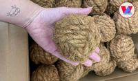 BALLON À MANGER EN FIBRE DE COCO NATURELLE BEN TRE - Sphère en coque de noix de coco pour le nettoyage des dents, le mastication et l'entraînement des animaux de compagnie - NOUVEAUTÉ POPULAIRE