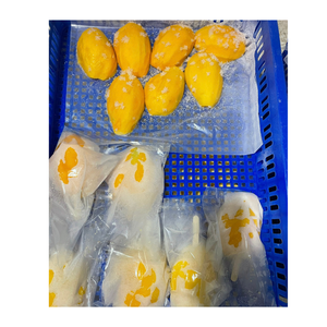 Cubos de Mango Congelados IQF, Nueva Cosecha 2026, Vietnam, Precio Competitivo, Venta al Por Mayor - Product Image 3