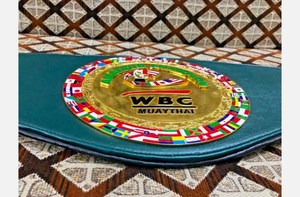 เข็มขัดแชมป์ WBC MMA สำหรับมือสมัครเล่น ทำจากโลหะผสมสังกะสี น้ำหนักเบา ทรงสูง เหมาะสำหรับผู้ใหญ่ทั้งชายและหญิง - Product Image 2