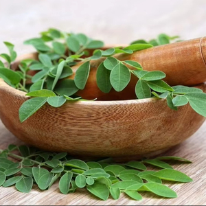 BEST SELLING Viet Delta Moringa Séché 100% Naturel (Feuilles/Racines/Graines) Soutien Détoxifiant Hépatique Qualité Export Emballage en Vrac Durée de Conservation 6-12 Mois - Product Image 1