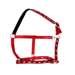 Wholesale Nylon English Saddle <b>Halter</b> for Horse Riding Custom Color Horse Accessories with SS Fittings Cheap and High Quality - Product Image 5