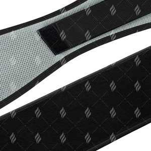 Bán Hot giá bán buôn tùy chỉnh phòng tập thể dục vành đai điện EVA Trọng lượng nâng vành đai tạ vành đai tập thể dục để bán - Product Image 5