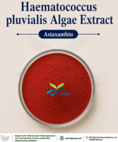 Extrait d'algues Haematococcus pluvialis naturel de qualité alimentaire Astaxanthine 1% - 5% Extrait standardisé, Fourniture directe usine HGO