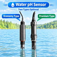 Sensor pH Air Premium IP68 0-14pH Akurasi Tinggi RS485 Elektroda pH Industri untuk Pengolahan Air Kota