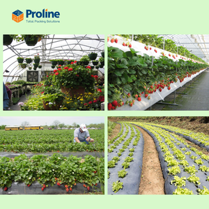 Película plástica agrícola de alta calidad de 0,01-0,20mm de espesor para invernadero agrícola a precio de fábrica competitivo - Product Image 5