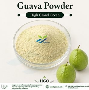 Approvisionnement direct d'usine HGO de poudre de goyave pure et naturelle (qualité alimentaire) – Poudre de fruit séchée par pulvérisation ou lyophilisée - Product Image 1