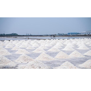 Exportador Global que Vende Sal Refinada de Grado Industrial de la Más Alta Calidad para Evaporación Solar, en Forma de Polvo, Sal Industrial Nacl - Product Image 1