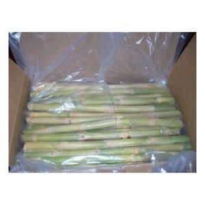 Caña de Azúcar Congelada de Calidad Premium para Procesamiento Eficiente de Extracción de Jugo Comercial y Preparación de Bebidas en Bares, a Granel - Product Image 3