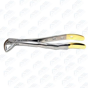Nuevas Pinzas para Extracción de Raíces Dentales Equinas, Instrumentos Dentales Equinos, Instrumento Quirúrgico Dental Veterinario - Product Image 2
