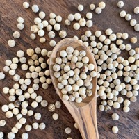 Poivre blanc de qualité supérieure, séché, 100% naturel, conforme aux normes d'exportation