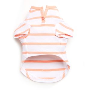 ODM OEM Marque de créateur taïwanais Nouveaux vêtements pour animaux de compagnie de qualité supérieure - Product Image 5