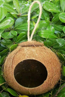 Nichoir pour oiseaux en noix de coco naturelle / Bols en coquille de noix de coco, nid pour oiseaux fabriqué par Green Future Vietnam