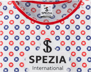 Custom Logo Soccer Pinnies Mesh Football Practice <b>Bibs</b> Reusable <b>Training</b> Vest for Teams - Product Image 5