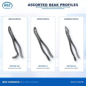 คีมถอนฟัน BSZ SURGICO หมายเลข 69 รุ่น BSZS-210 ทำจากสแตนเลสสตีล ด้ามจับแบบมีลาย  ชนิดเครื่องมือผ่าตัดคลาสที่ 2 - Product Image 3