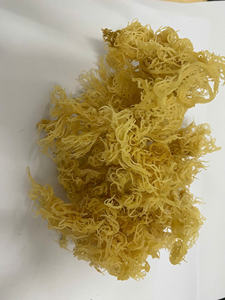 Musgo Marino Naturalmente Recogido de Aguas Vietnamitas AD, Seco y Sazonado, 100% Musgo Marino Ms. Lima - Product Image 3