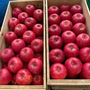Manzanas Rojas Fuji Frescas al por Mayor, Nueva Cosecha 2026, Manzanas Frescas Royal <span class=keywords><strong>Gala</strong></span> y Red Delicious, Precio de Manzanas Frescas - Product Image 1