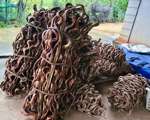 Vignes <span class=keywords><strong>de</strong></span> Liana Torsadées Naturelles en Gros, Lianes Forestières pour Décoration en Bois, Matériaux <span class=keywords><strong>de</strong></span> Décoration Rustique Durable, Fournisseur Vietnamien - Product Image 5