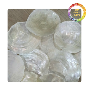 Natural Capiz Seashell Craft Material For DIY Projects Wedding Decor And Handmade <b>Ornaments</b> | Vietnam origin - Product Image 2