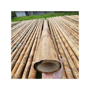 Piquets en bambou de qualité supérieure, prix de gros abordable, poteaux droits robustes et durables, approvisionnement en vrac direct usine, solides - Product Image 1