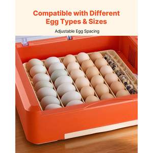 Incubateur automatique pour 36 œufs avec candeur LED, bac à eau, contrôle de la température et de l'humidité, fenêtre transparente à 360 degrés pour l'éclosion de la volaille - Product Image 6