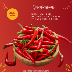 Chiles Frescos de Vietnam _ Venta al por Mayor para la Industria Alimentaria e Importadores Globales - Product Image 3