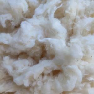 Algodón de Alta Calidad, el Más Vendido, 100% Algodón Peinado, Tipo Lickerin Grado A y B, Tiras Planas de Algodón Blanco, Residuos de Algodón de Vietnam - Florence - Product Image 4