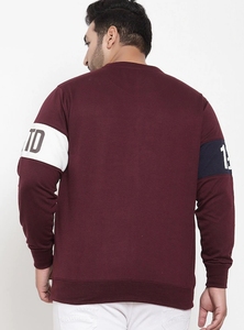 Sudadera de Cuello Redondo Color Granate para Hombre, Corte Regular, Logotipo Estampado, Informal, Tejida, 100% Algodón, para Otoño - Product Image 6