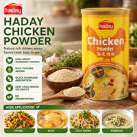 Poudre de poulet HADAY en vrac pour usines alimentaires, marques OEM et importateurs – Arôme riche de poulet, dissolution facile, anti-agglomération