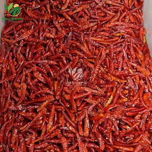 พริกแห้ง – คุณภาพพรีเมียมสำหรับการแปรรูปอาหารจากเวียดนาม - Product Image 3