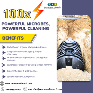 Probióticos en Polvo Microbiano Séptico, Eficaz para Descomponer Sólidos de Aguas Residuales - Product Image 3