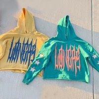 Sudadera con Capucha de Felpa Francesa Personalizada, 100% Algodón, para Invierno, con Bordado 3D, Corte Recortado, para Hombre y Mujer