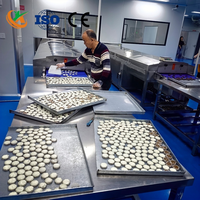 Machine d'enrobage automatique au chocolat avec tunnel de refroidissement, machine industrielle de recouvrement au chocolat pour bonbons, biscuits, noix