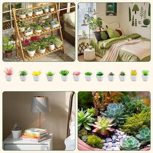 Set di 12 Piante Succulente Artificiali Premium per Interni, Vasi Decorativi con Piante Finte Realistiche per Giardino e Esposizione, Vegetazione di Alta Qualità - Product Image 3