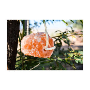 Sel à lécher pour animaux OEM de haute qualité, compressé, pour bovins, chevaux, vaches, moutons, chèvres, nourriture au sel à lécher pour la digestion des chiens - Disponible à la vente - Product Image 5