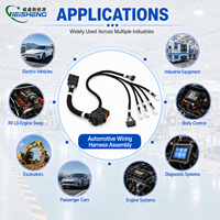 Kabel Harness Penggantian Mesin LS untuk RV Excavator, Perakitan Kabel Kustom Pabrik OEM
