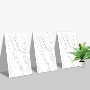Carreaux muraux Premium Choice de qualité supérieure, carreaux d'élévation Asia Tiles 300x600mm pour la protection des murs. - Product Image 1