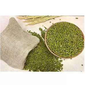 Haricots mungo verts de qualité supérieure en gros à vendre à prix avantageux - Product Image 5